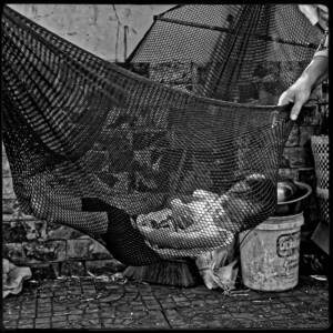 Serie "Evasion" par Justine Darmon