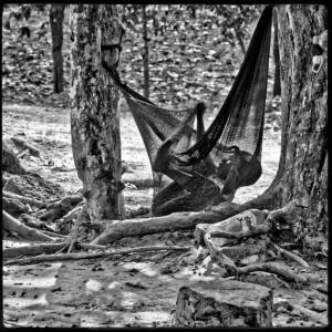 Serie "Evasion" par Justine Darmon