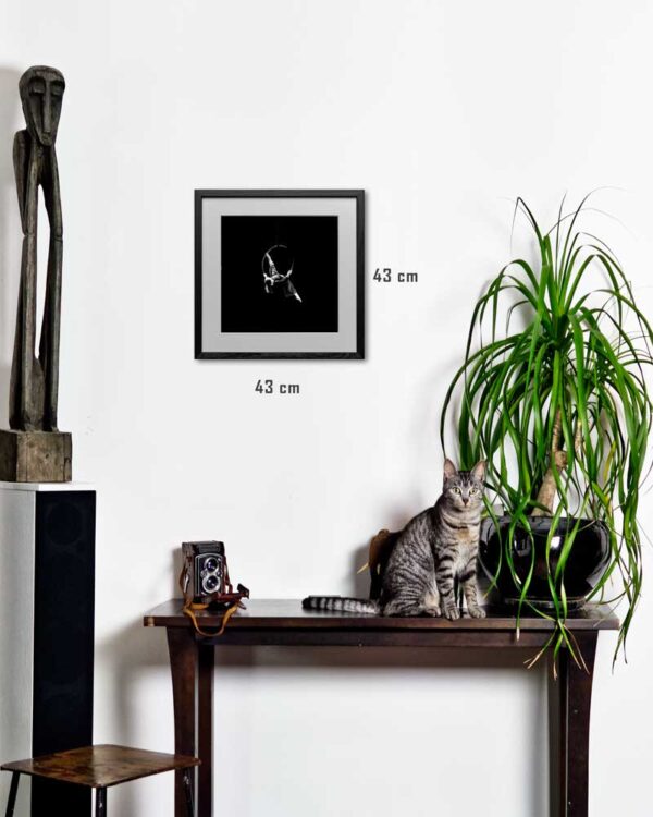 Mise en situation photographie de Justine Darmon