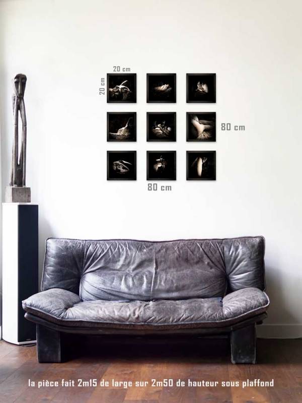 Mise en situation photographie de Justine Darmon