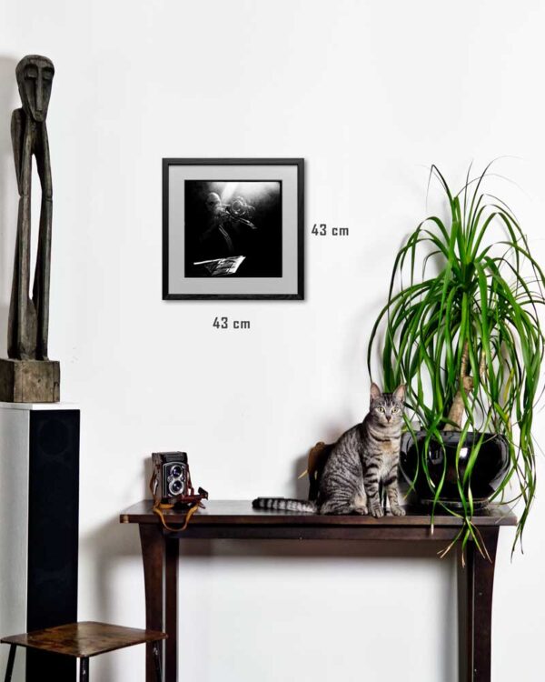 Mise en situation photographie de Justine Darmon