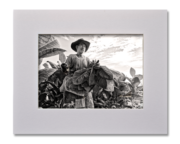 La cueillette, Série au delà des couleurs par Justine Darmon