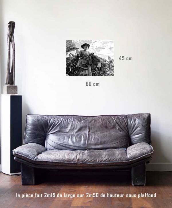 La récolte-tirage en situation-45 x 60- Cuba, au delà des couleurs par Justine Darmon