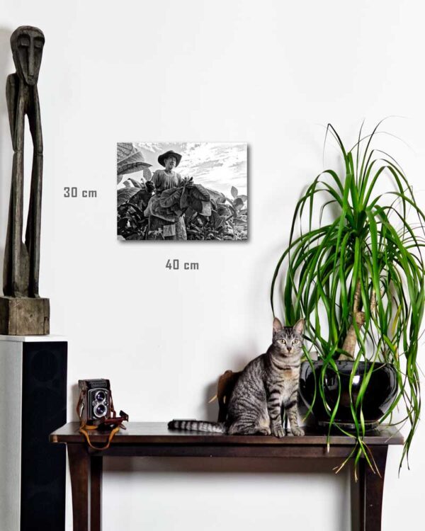 Série Evasion par Justine Darmon | tirage en situation