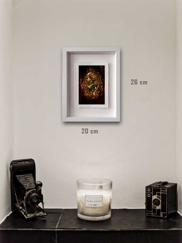 Photographie issue de la série Les lames de l'Âme par Justine Darmon mise en situation