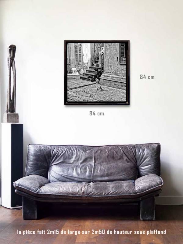 Mise en situation photographie de Justine Darmon