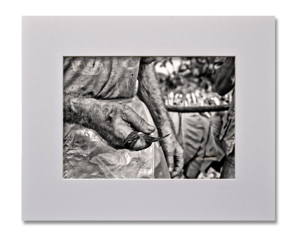 Les mains du Veguero, Série au delà des couleurs par Justine Darmon