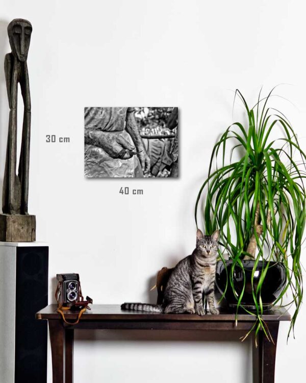 Série Evasion par Justine Darmon | tirage en situation