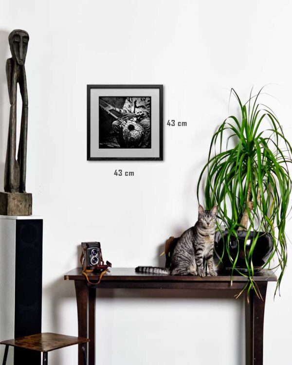 Mise en situation photographie de Justine Darmon