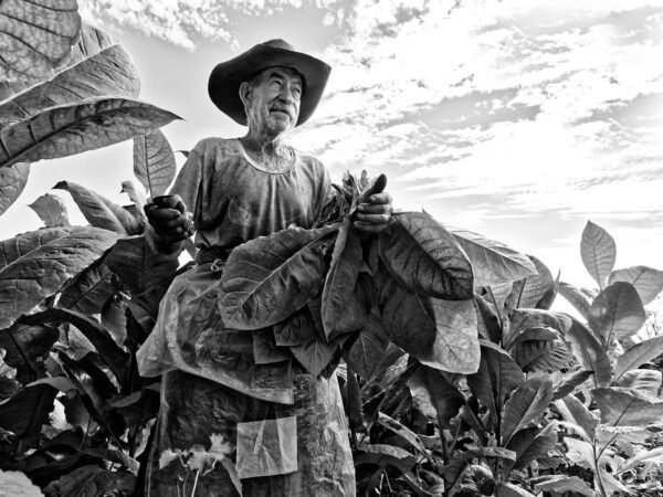 Série "Cuba, au delà des couleurs" par Justine Darmon