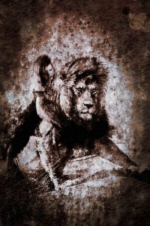 Série "Les lames de l'âme" par Justine Darmon