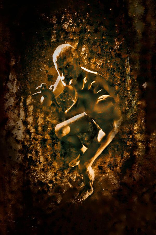 Série "Les lames de l'âme" par Justine Darmon